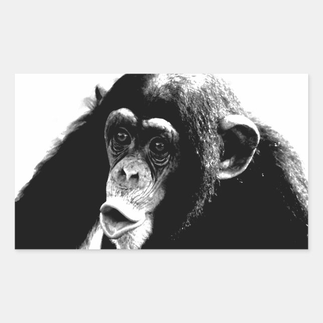 Black White Chimpanzee Rectangular Sticker (Front)