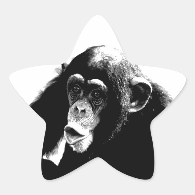 Black White Chimpanzee Star Sticker (Front)