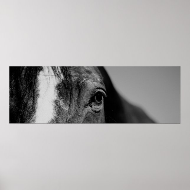 Black & White Close-up Horse Eye Poster (Front)