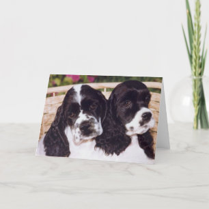 Black & White Cocker puppy card