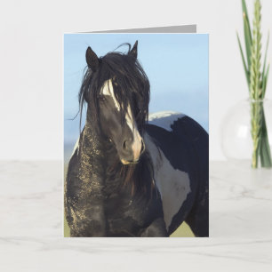 Black & White Comes Close Wild Horse Greeting Card