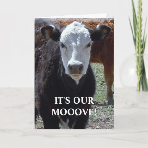 Black & White Cow - Western Change of Address Announcement