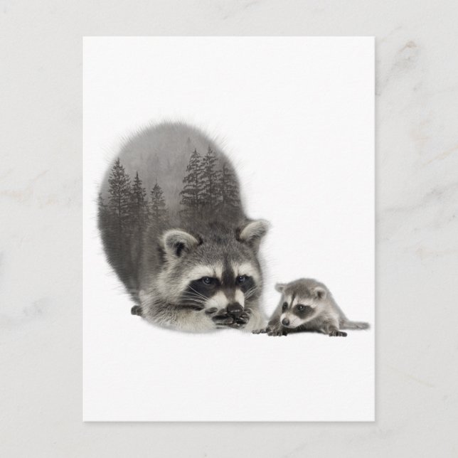 Black White Cute Racoon with Baby  Postcard (Front)