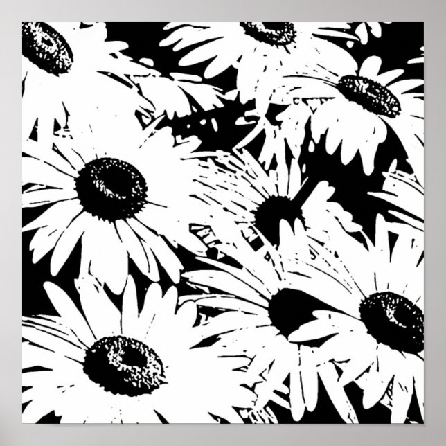 Black&White Daisies Poster (Front)