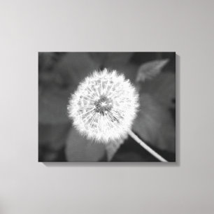 Black & White Dandelion in Front of Leaves 16x20 Canvas Print