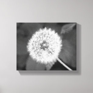Black & White Dandelion in Front of Leaves 8x10 Canvas Print