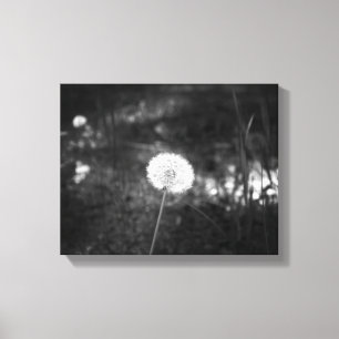 Black & White Dandelion in the Woods 11x14 Canvas Print