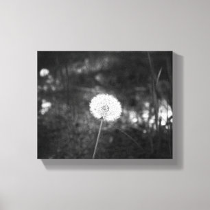 Black & White Dandelion in the Woods 8x10 Canvas Print