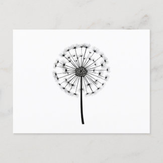 Black White Dandelion Line Art Postcard