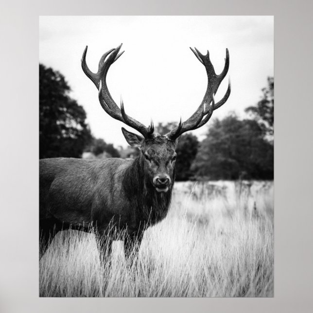 Black White Deer Cabin Decor Forest Woodland (Front)