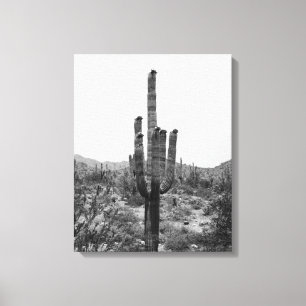 Black & White Desert Saguaro Cactus 16x20 Canvas Print