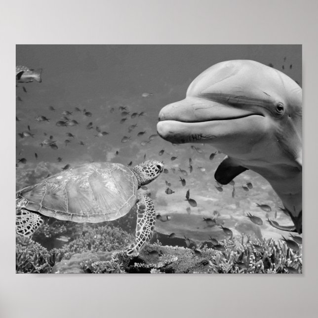 Black White Dolphin Sea Turtle Fish Printable Art  Poster (Front)
