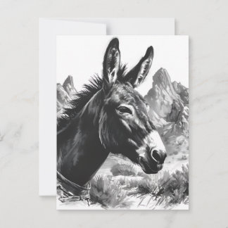 Black & White Donkey Portrait Southwestern Postcard