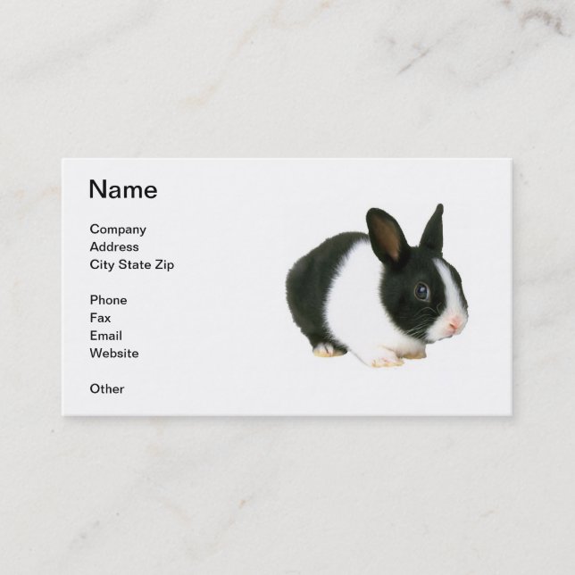 Black & White Dwarf Bunny Rabbit Business Card (Front)