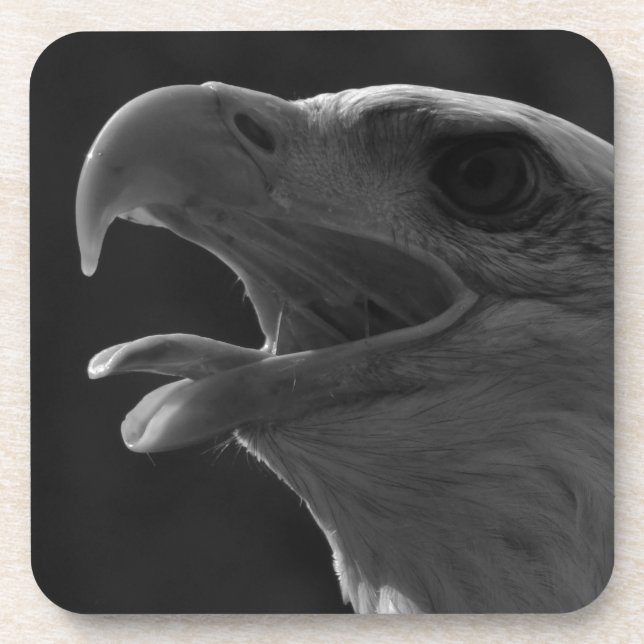 Black & White Eagle Coaster (Front)