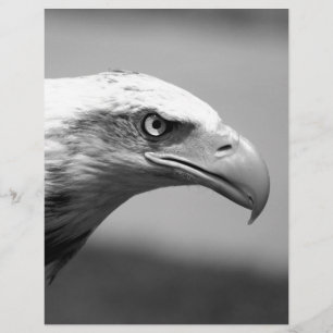 Black & White Eagle Eye