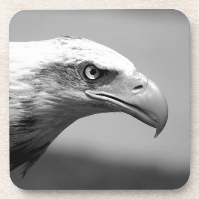 Black & White Eagle Eye Coaster (Front)