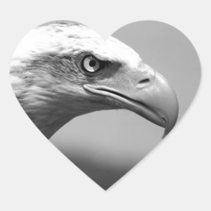 Black & White Eagle Eye Heart Sticker