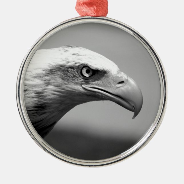 Black & White Eagle Eye Metal Tree Decoration (Front)