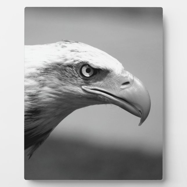 Black & White Eagle Eye Plaque (Front)