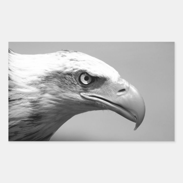 Black & White Eagle Eye Rectangular Sticker (Front)