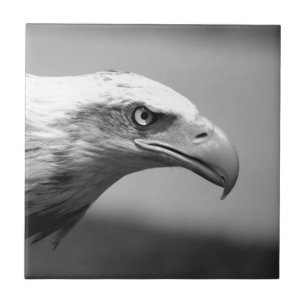 Black & White Eagle Eye Tile