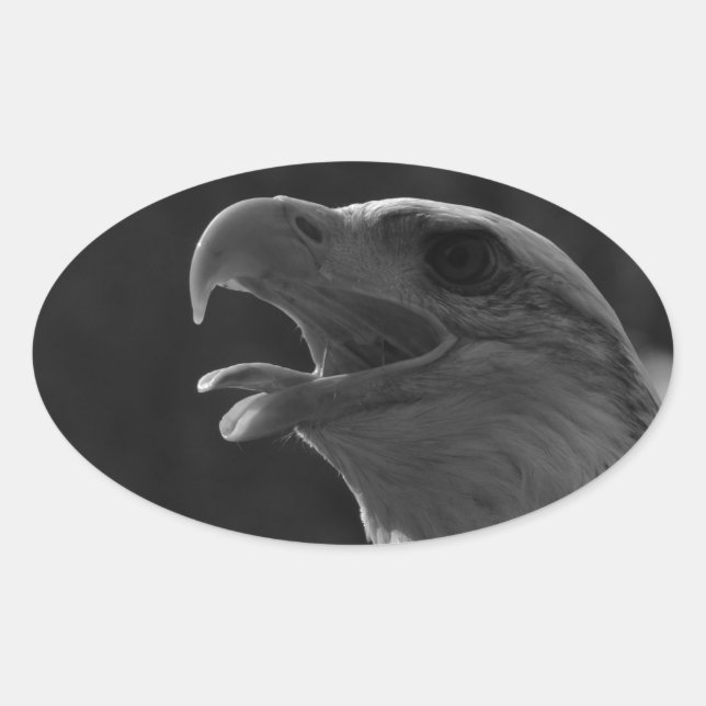 Black & White Eagle Oval Sticker (Front)