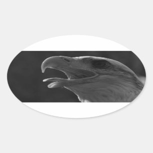 Black & White Eagle Oval Sticker