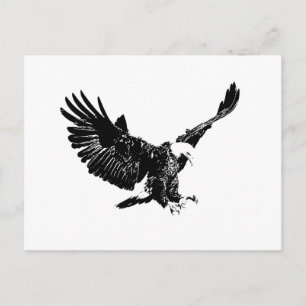 Black & White Eagle Postcard