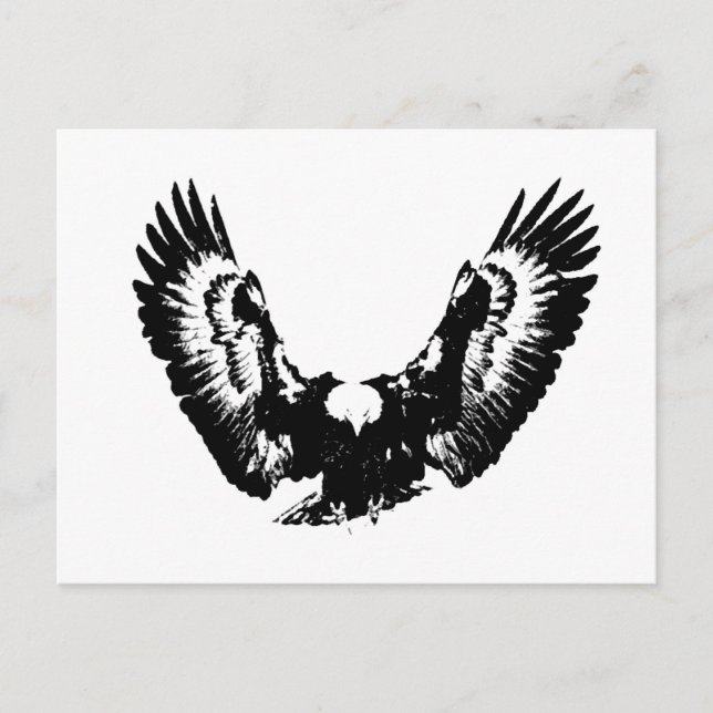 Black & White Eagle Postcard (Front)