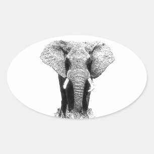 Black & White Elephant Oval Sticker
