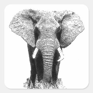 Black & White Elephant Square Sticker