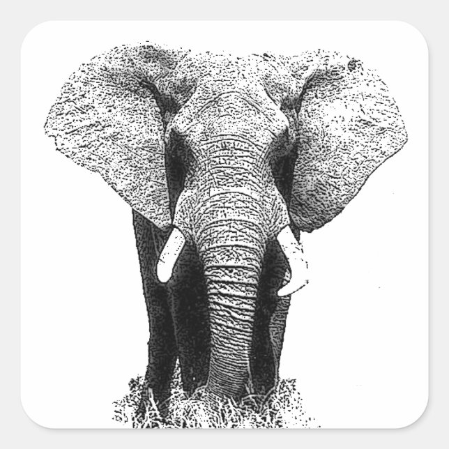Black & White Elephant Square Sticker (Front)