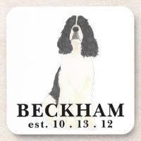 Black & White English Springer Spaniel