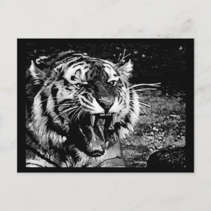 BLACK WHITE FEROCIOUS TIGER ROARING WILD ANIMALS C POSTCARD