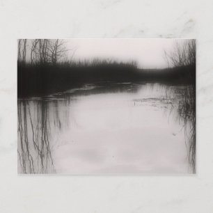 Black & White Flooded Field Postcard