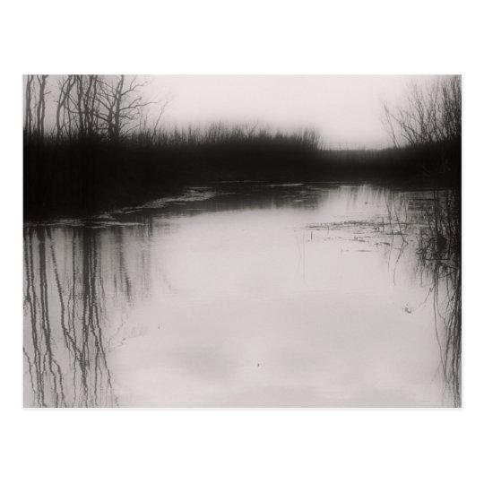 Black & White Flooded Field Postcard