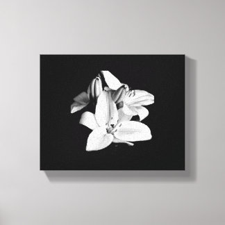 Black & White Flower Stretched Canvas Print