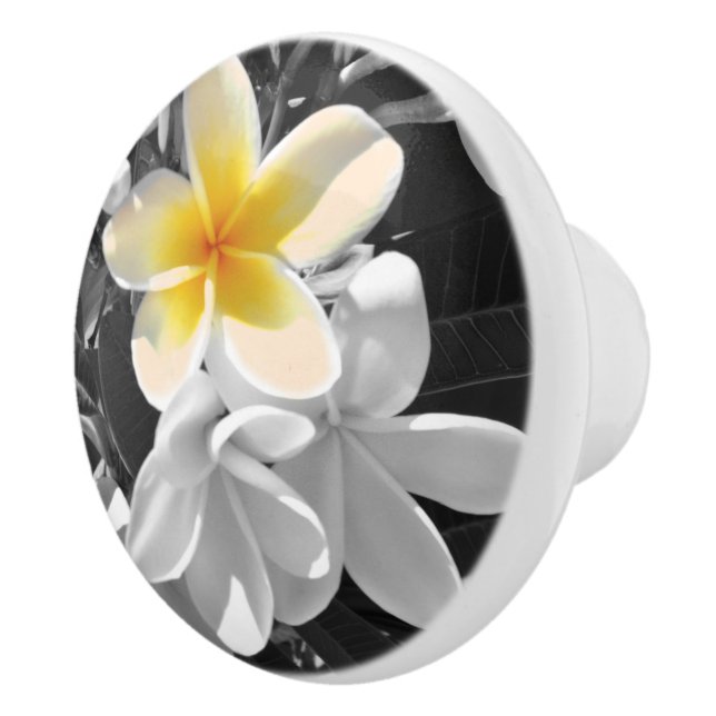 Black White Frangipanis With One Yellow Frangipani Ceramic Knob (Right)