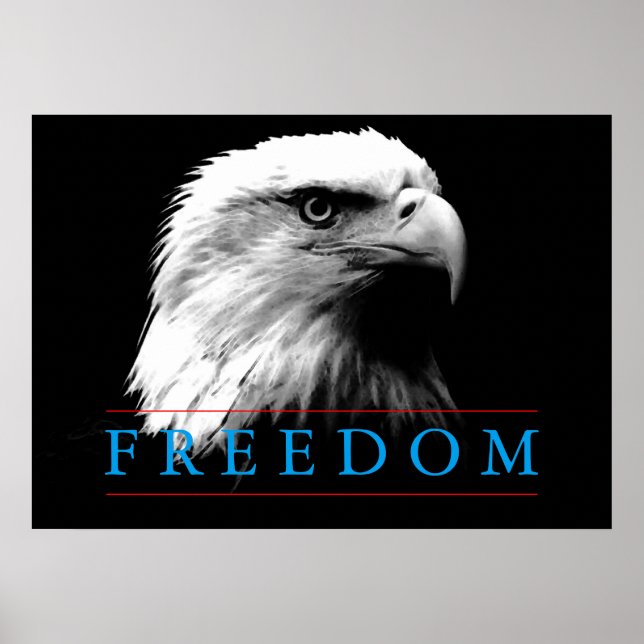 Black White Freedom American Eagle Poster (Front)