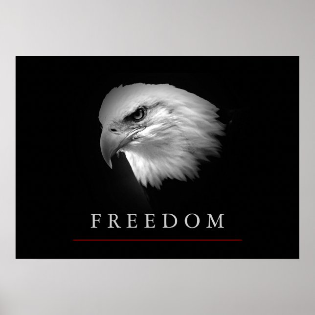 Black White Freedom Eagle Face Poster (Front)