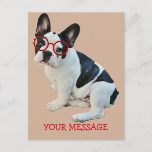 Black & White French Bulldog Wearing Red Glasses Postcard