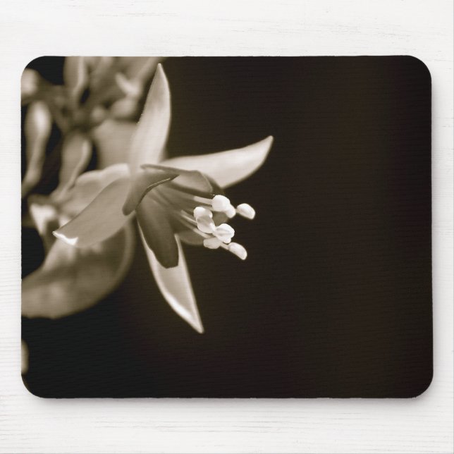 Black/White Fuschia Mousepad (Front)