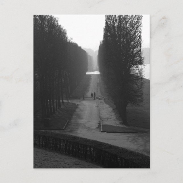 Black & White Gardens of Versailles Postcard (Front)