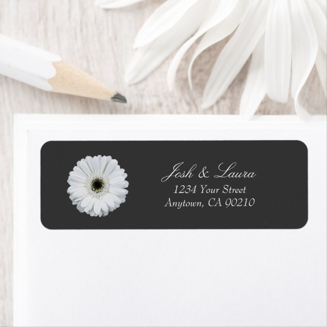 Black & White Gerbera Daisy | Floral Address (Insitu)