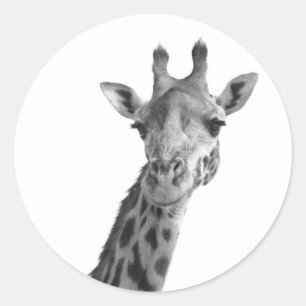 Black & White Giraffe Classic Round Sticker