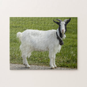 Black & White Goat Jigsaw Puzzle