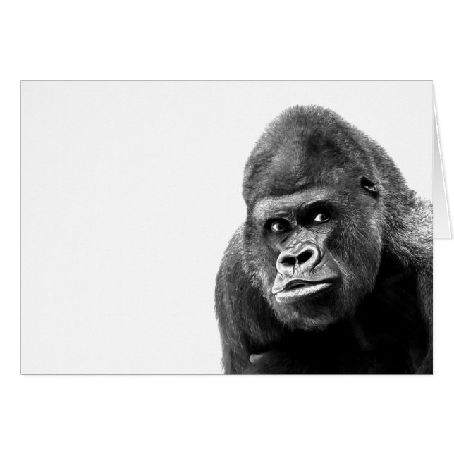Black White Gorilla (Front Horizontal)