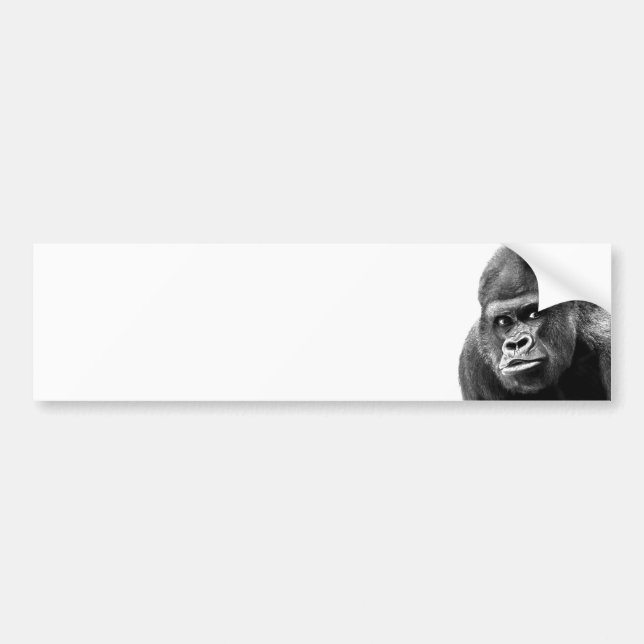 Black White Gorilla Bumper Sticker (Front)