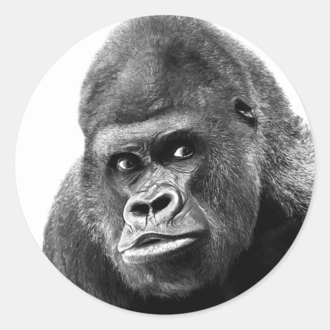 Black White Gorilla Classic Round Sticker (Front)